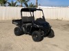 2023 AMERICAN LANDMASTER L5 UTILITY CART, gasoline, 4x4, canopy, seats 2, 48"x36" tilt bed. s/n:A4PUTVMD1PB400074 - 2