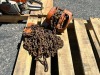 2005 1-TON CHAIN HOIST, 20' lift. --(LOCATED IN COLTON, CA)-- - 2