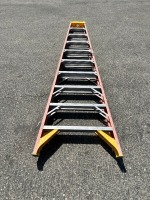 10' EXTENSION LADDER --(LOCATED IN COLTON, CA)--