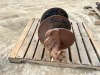 16" AUGER BIT. --(LOCATED IN COLTON, CA)--