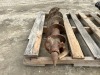 8" AUGER BIT. --(LOCATED IN COLTON, CA)--